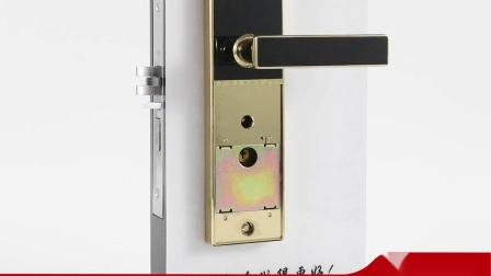 Smart Euro Type High Techonogy Security Hotel Door Lock System