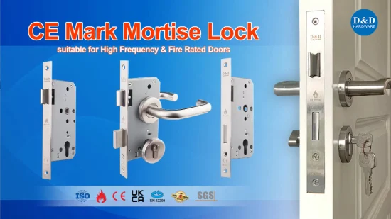 Euro Fire Rated Stainless Steel 304 Outside Mortise Handle Lock Metal Sash Lock Deadbolt High Security Internal Commercial Cylinder Door Lock Mortice Front Lock