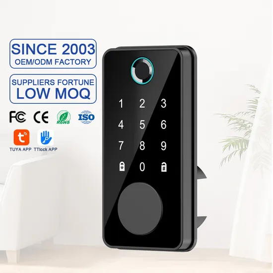 Home Hotel Apartment Security Electronic Smart Fingerprint Door Lock Deadbolt Intelligent Automatic Padlock